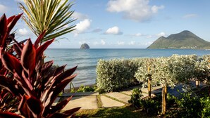 Paesaggio costiero con una montagna, uno specchio d'acqua e un giardino con piante e un vialetto.