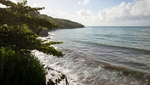 Eine Küstenlandschaft mit freiem Blick auf das Meer und einem bewaldeten Hügelhang.