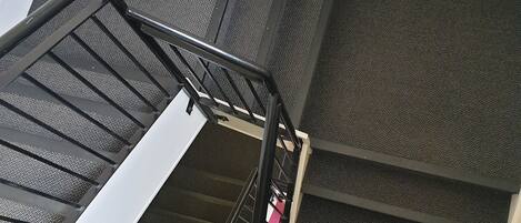 Apartment | Interior