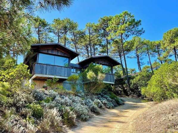A two-story wooden cabin with a balcony, surrounded by dense pine trees and a dirt path leading to the entrance.