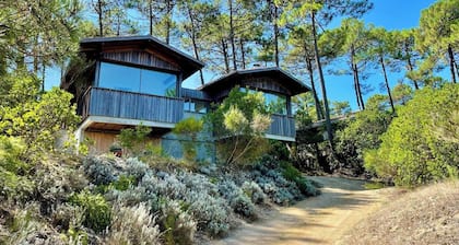 Villa d'architecte nature proche océan&bassin A0389
