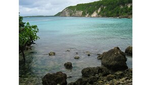 A coastal scene with clear water, rocky shore, and a forested cliff. - Studio O'KALM - Le Gosier (LE GOSIER)