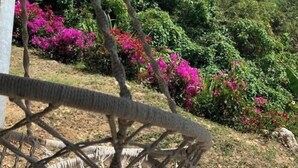 A basketball hoop with a chain-link fence in the foreground, surrounded by a garden with green foliage and pink flowers. - Studio O'KALM - Le Gosier (LE GOSIER)