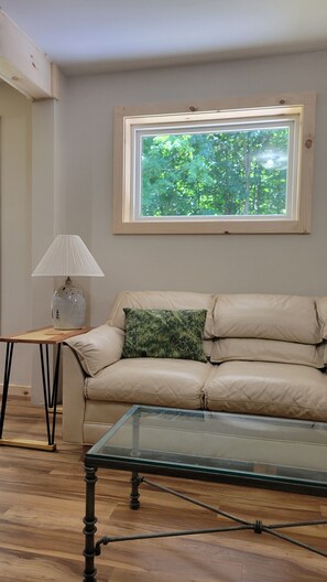 TV connectée, cheminée, livres