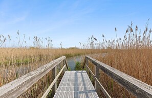 Property grounds - Mecox Bay with Panoramic Bay and Reserve Views - Water Mill South (Water Mill)