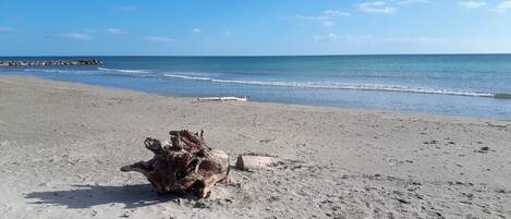 Plage à proximité