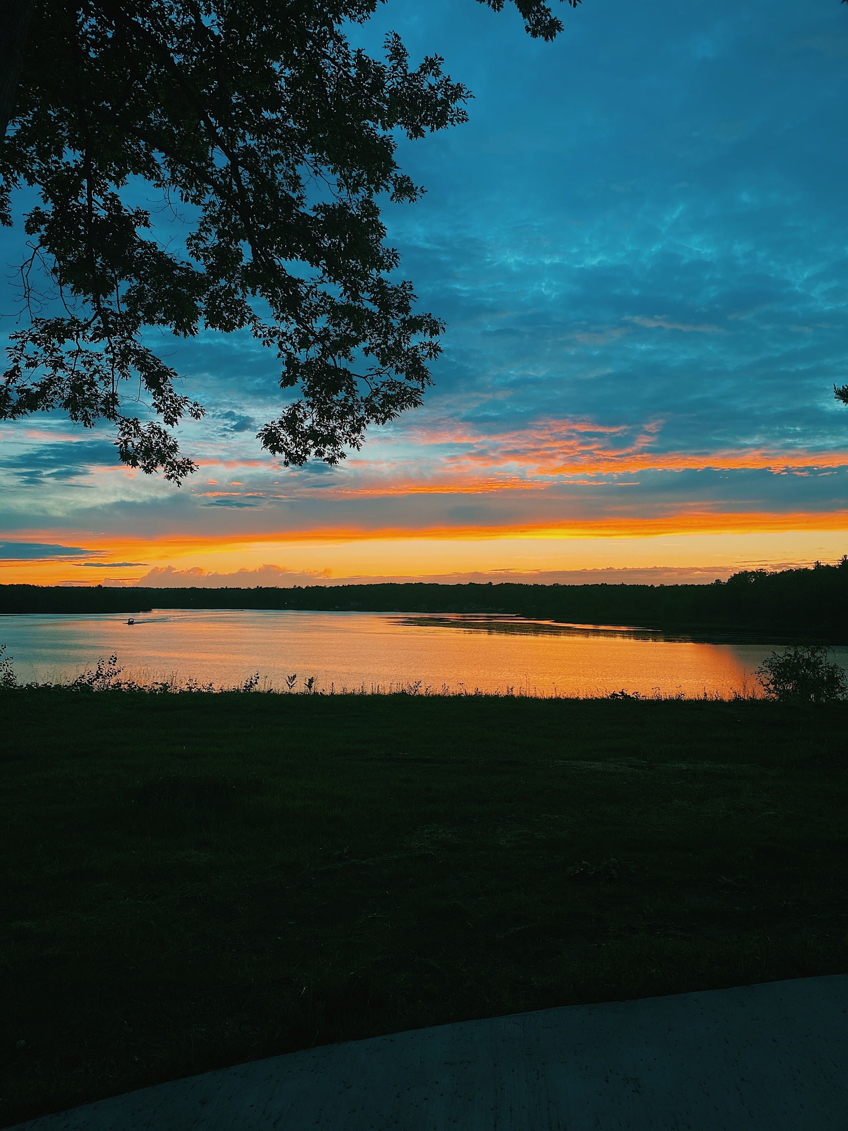 Tranquility on Rogers Pond