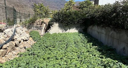 Casa rural abuhardillada con piscina en Mogán