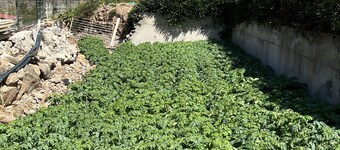 Casa rural abuhardillada con piscina en Mogán