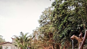 Uma área à beira da piscina com um pequeno edifício, mobiliário de exterior e vegetação exuberante.