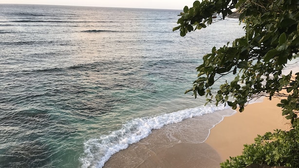 Una playa con olas suaves que llegan a la orilla, rodeada de vegetación.