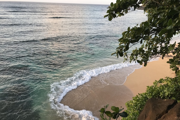 Plage, chaises longues, serviettes de plage
