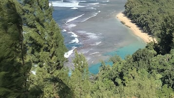 On the beach, sun loungers, beach towels