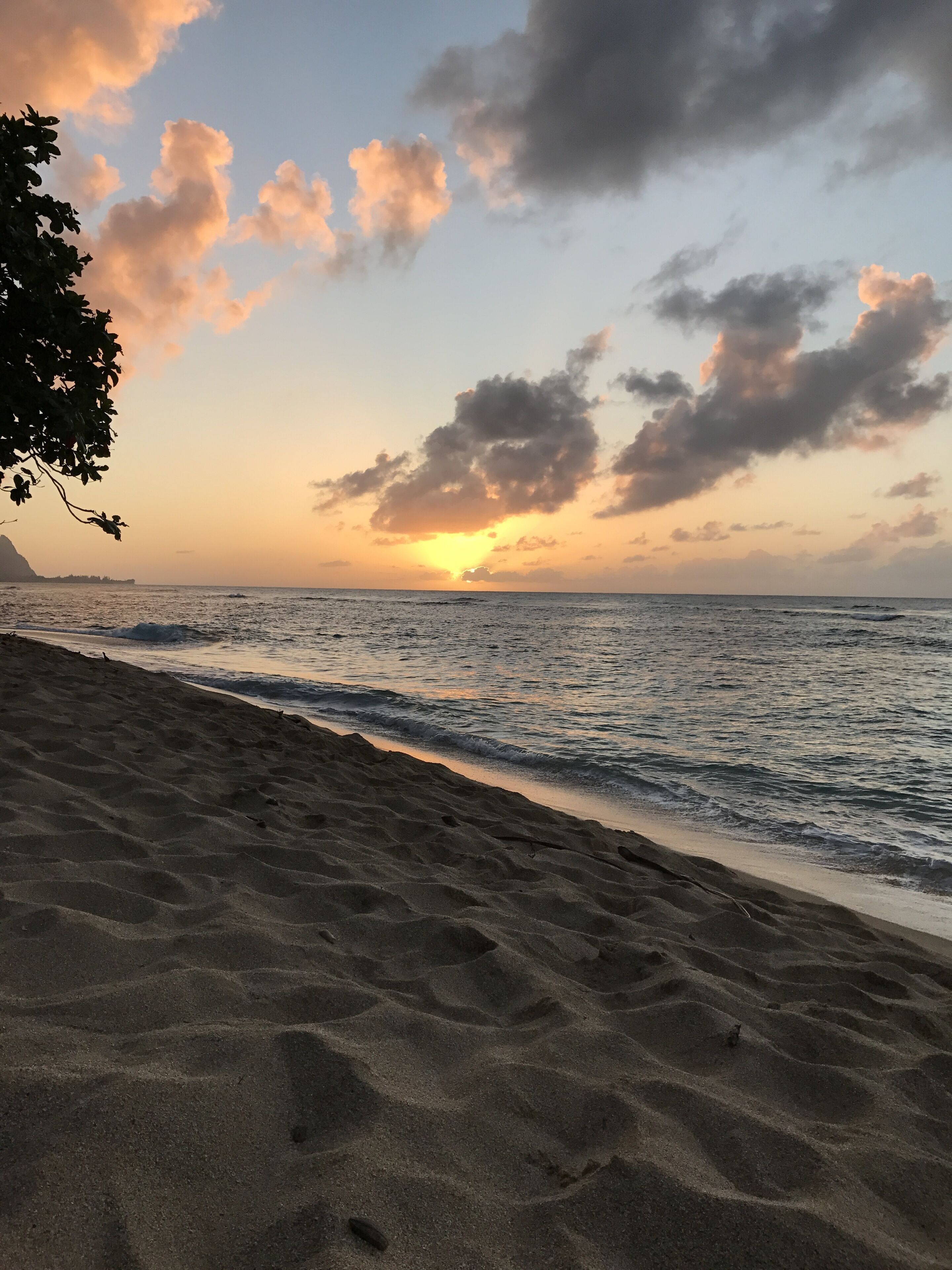 Une plage offrant une vue dégagée sur l’océan, avec un coucher de soleil en toile de fond.