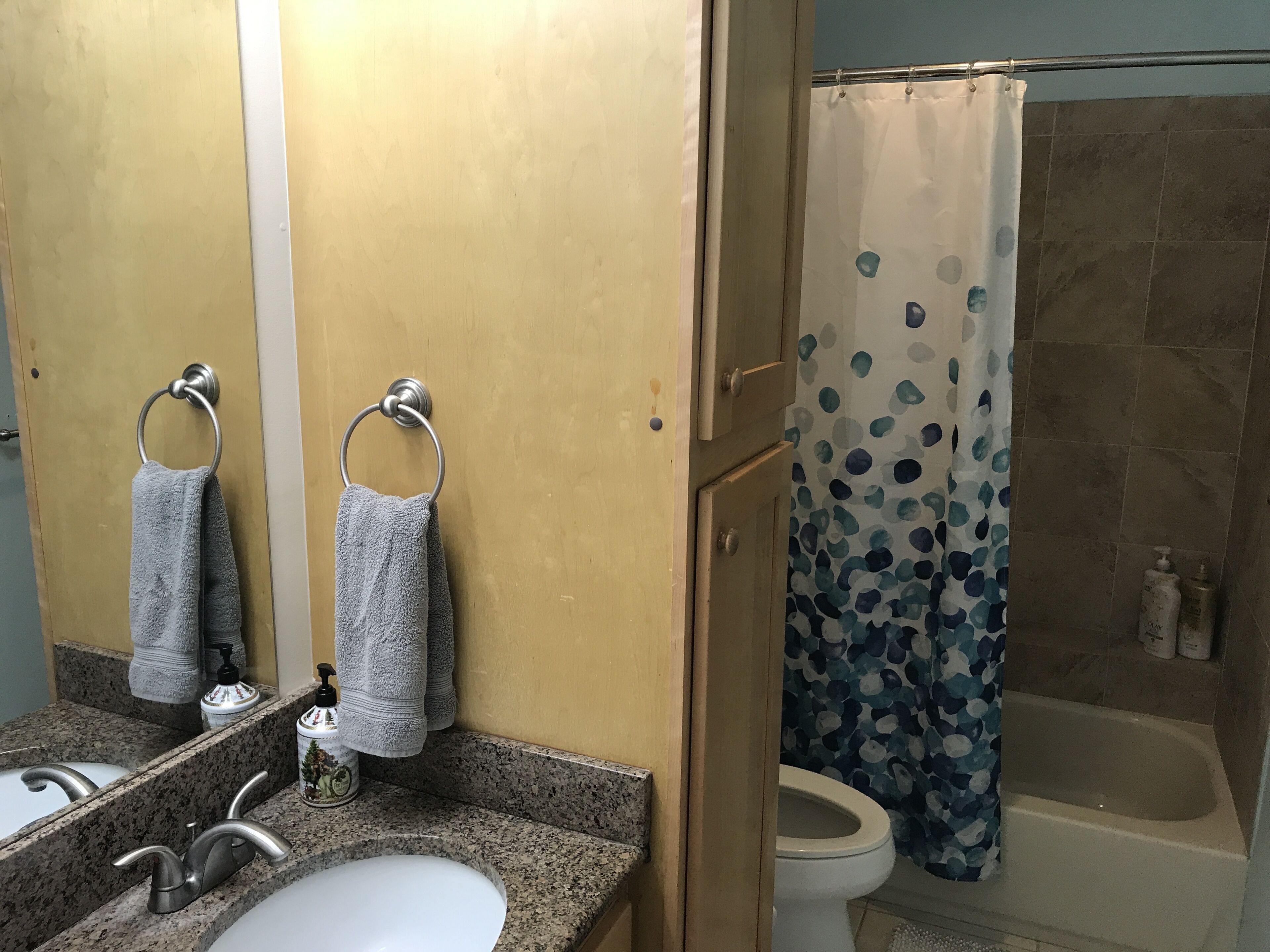 Combined shower/tub, hair dryer, towels, soap