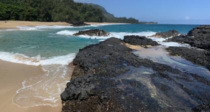 Aloha! The North Shore of Kauai awaits in this amazing, centrally located Condo!