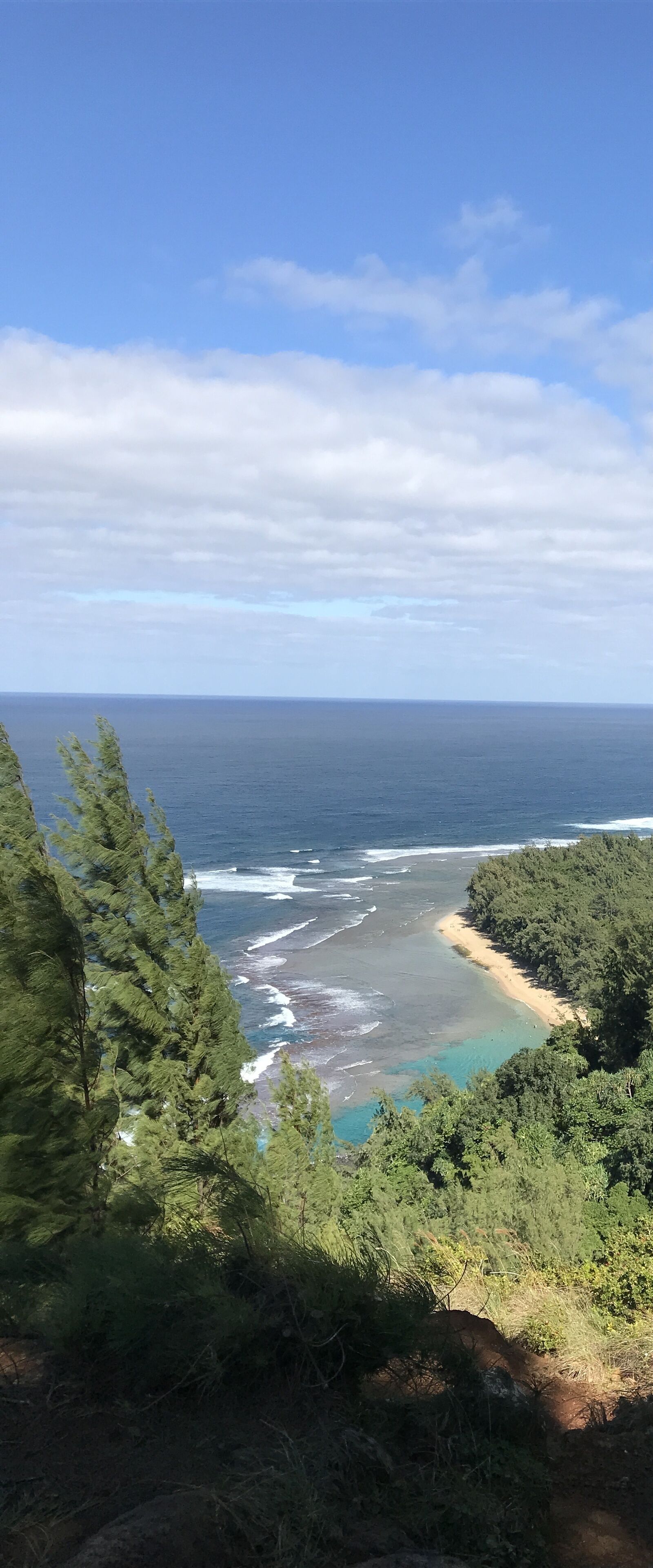 Un paysage côtier avec une plage, l’océan et une végétation luxuriante.