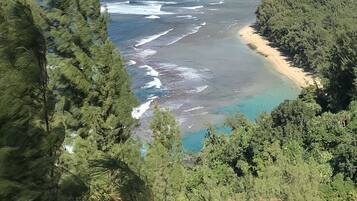 Un paysage côtier avec une plage, l’océan et une végétation luxuriante.
