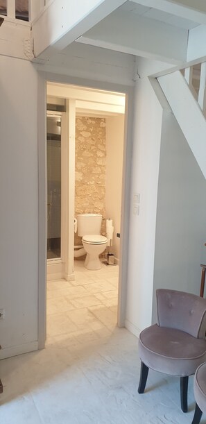 Douche, sèche-cheveux, savon