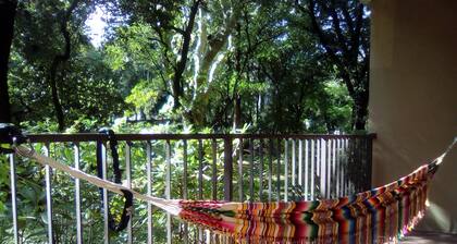 T1 résidence arborée avec piscine (en été) et parking