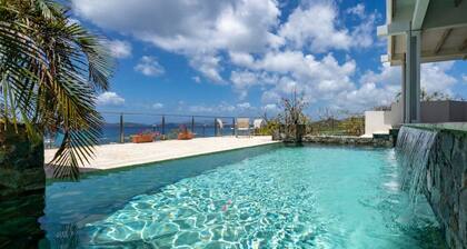 Vessup View · 5BR -Walk to the beach! Close to the Ritz Carlton!