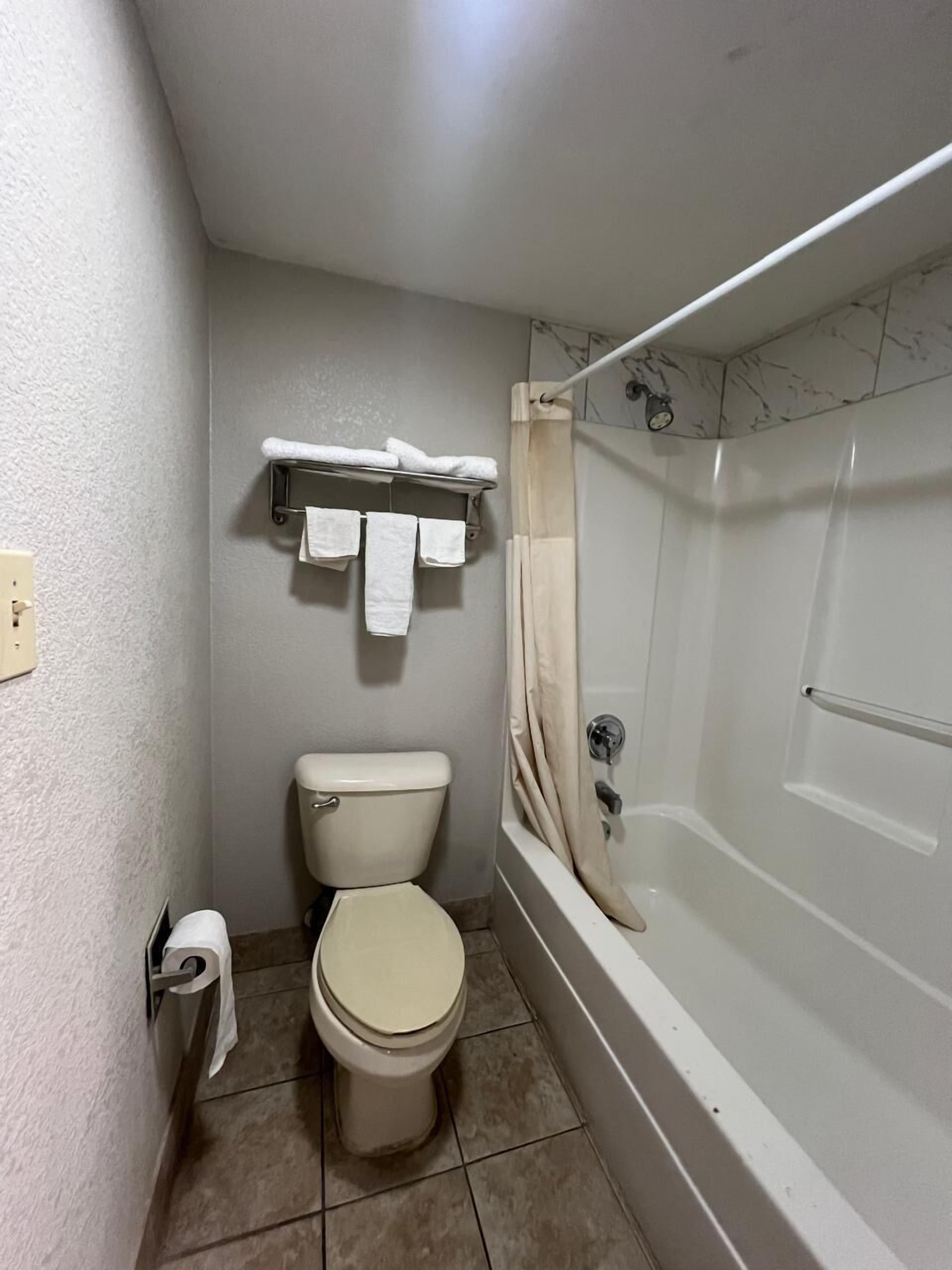 Een badkamer met toilet, bad en douchegordijn.