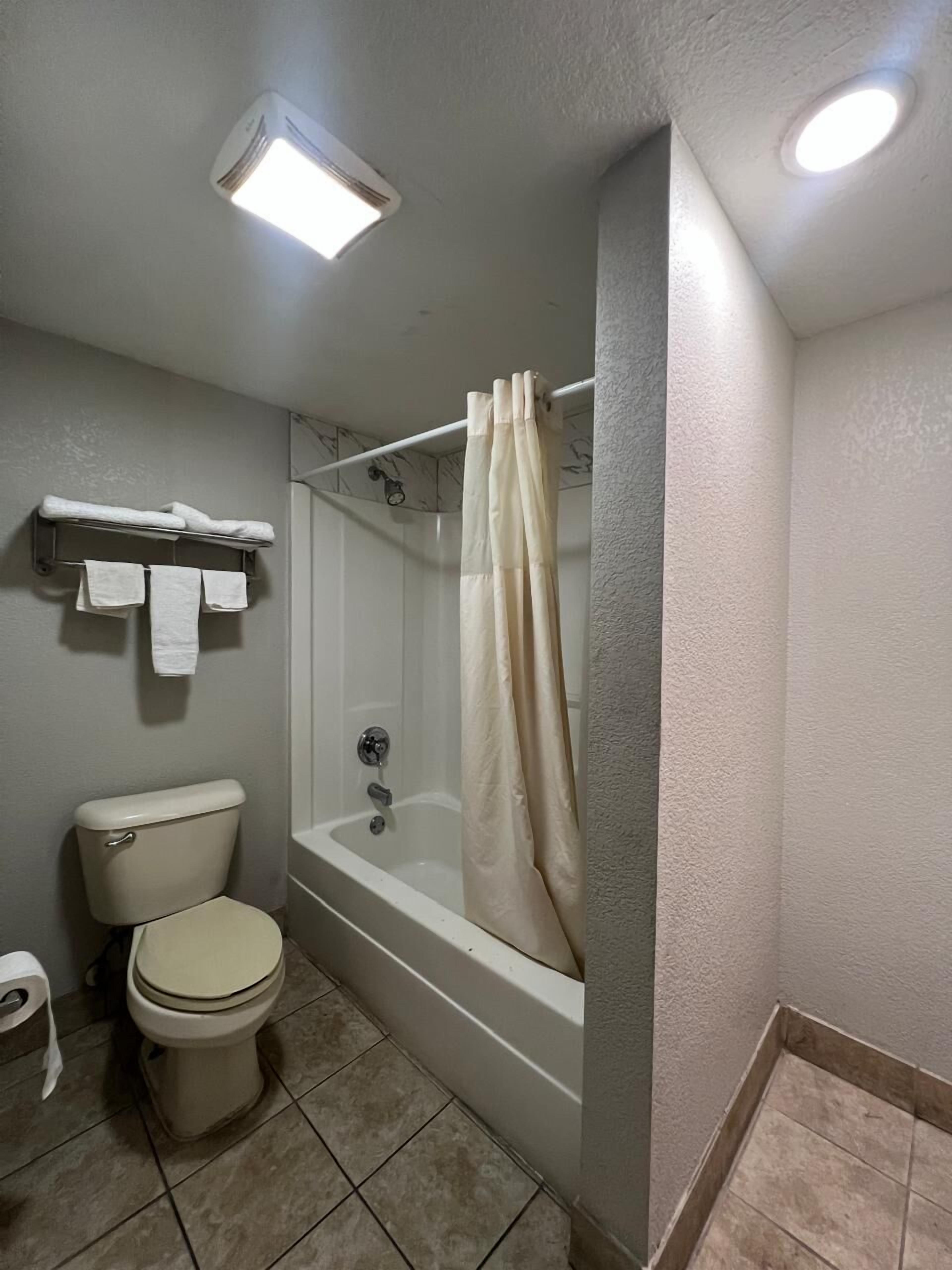 A bathroom with a toilet, a bathtub, and a shower curtain.