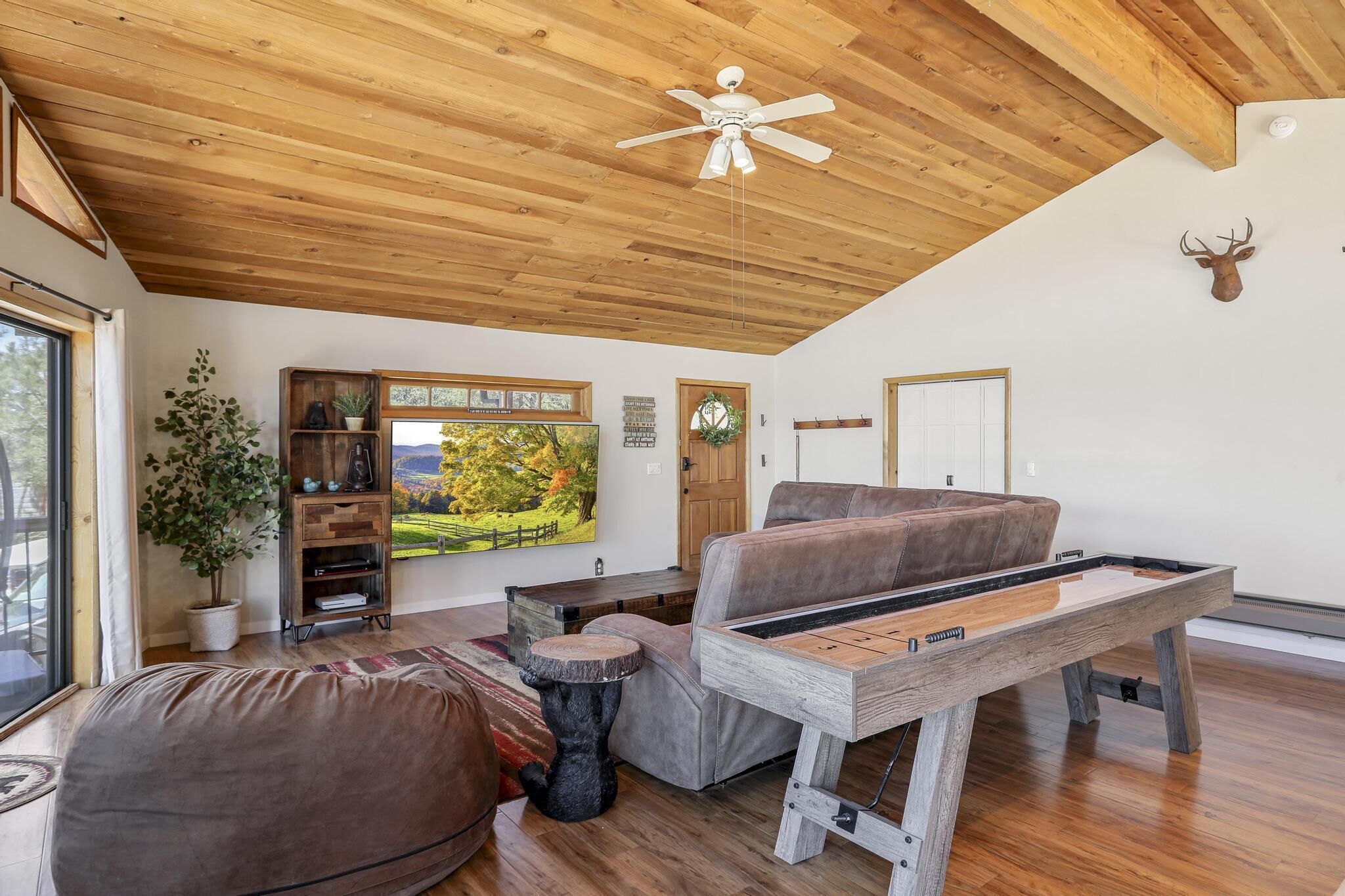 Smart TV, fireplace, books