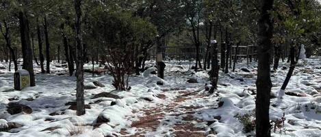 Enceinte de l’hébergement