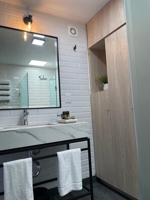 Executive Room | Bathroom | Shower, rainfall showerhead, free toiletries, hair dryer - Exclusive 409 (Aguascalientes)