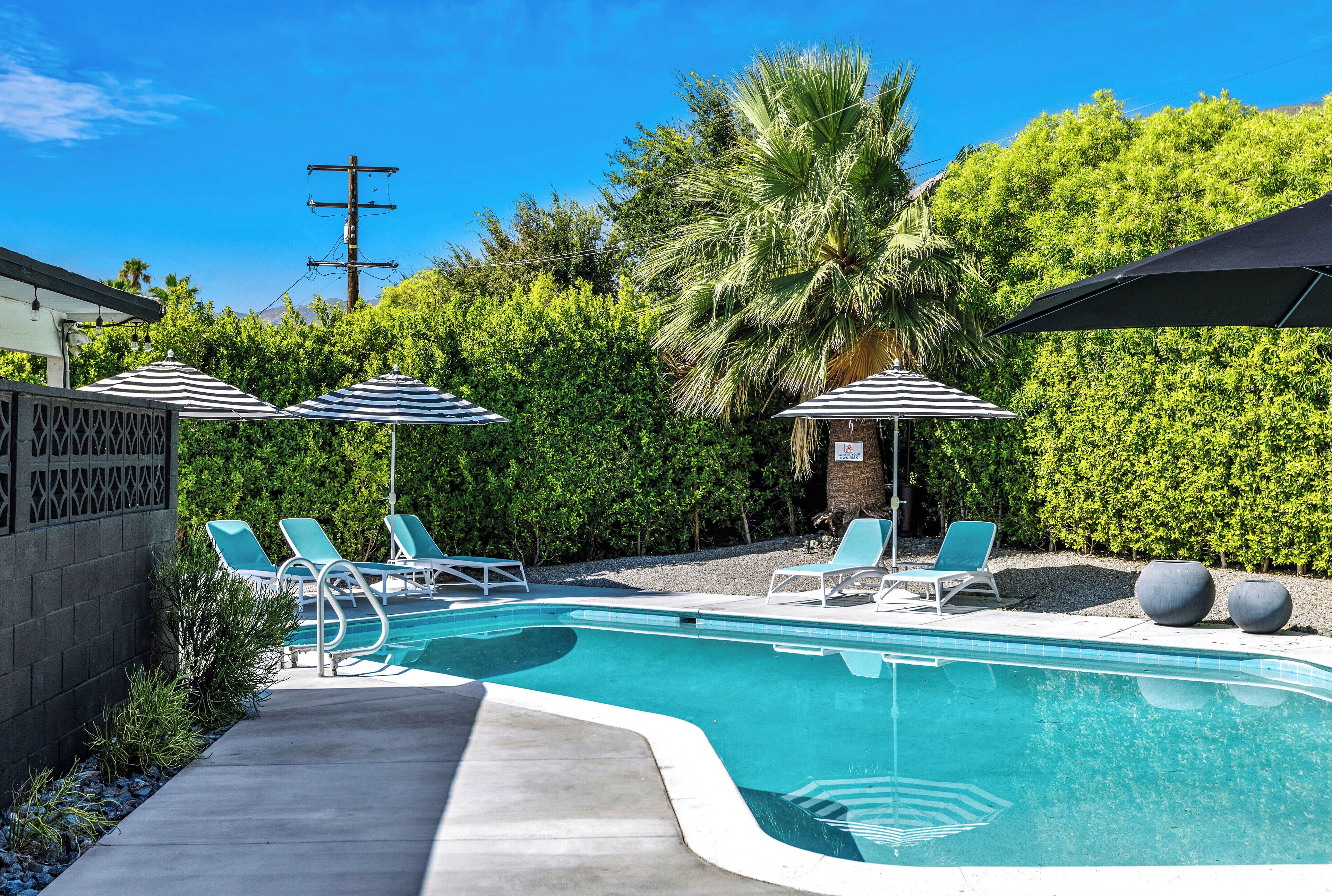 A swimming pool with lounge chairs and umbrellas, surrounded by greenery and a clear sky.