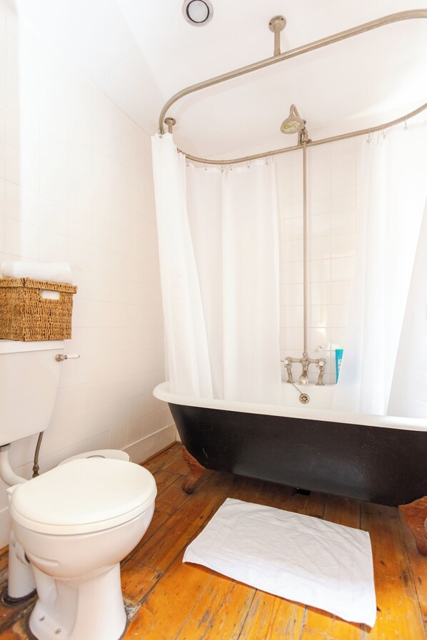 Bathtub, hair dryer