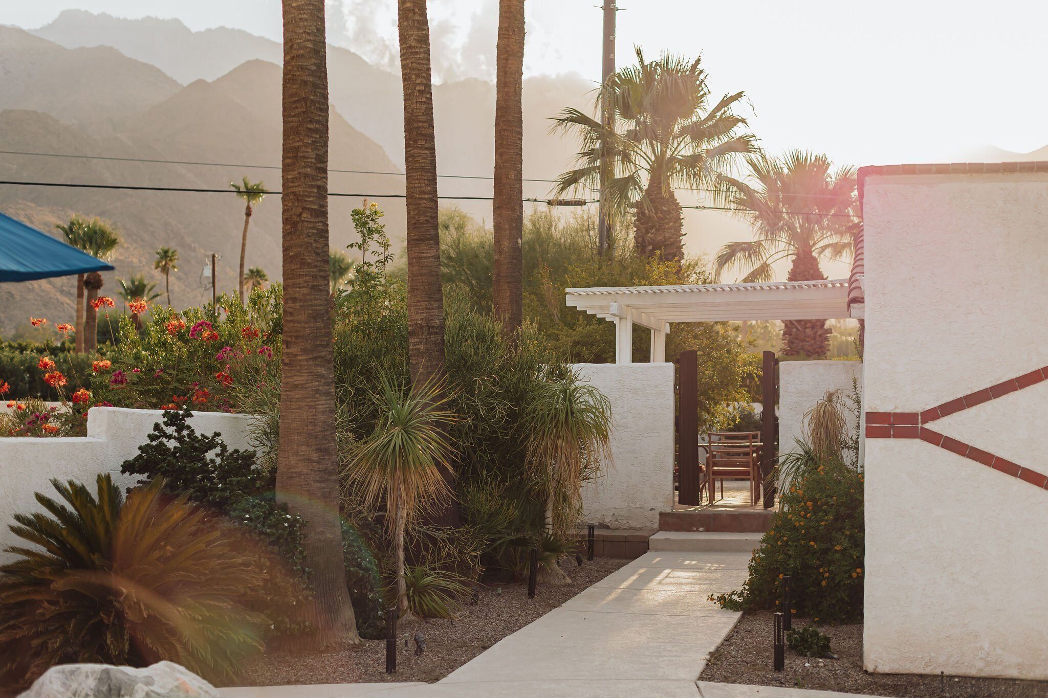 A pathway leading to a covered seating area surrounded by palm trees and flowering plants, with a mountainous backdrop.