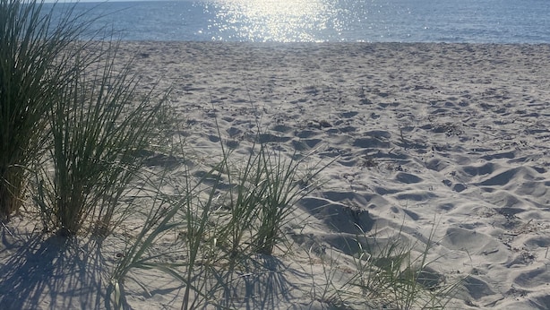 Une plage de sable avec quelques touffes d’herbe, un ciel dégagé et un soleil éclatant.