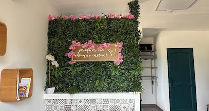 Studio 27m3 joliment meublé parking piscine wifi animaux