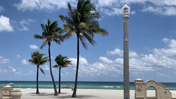 Una playa con palmeras, un farol y un arco decorativo.