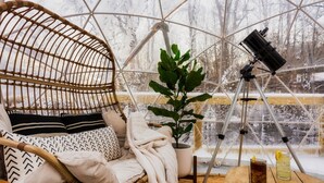 Una habitación acogedora con una silla de mimbre, una planta en maceta, un telescopio y una mesa con bebidas.