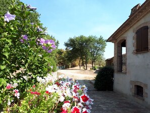 Property grounds - Privacy & Panoramic Pool (Niccone)