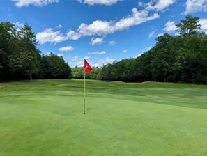 Golf - Private Home in Poconos -Country Club-New Renovated heated Pool, Beach, & more (Tobyhanna)