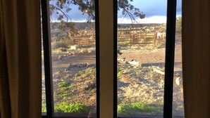 A window with a view of an outdoor area featuring a dirt path, some greenery, and a metal fence. - 1930's Stone Cottage with spectacular views! (Lake Montezuma)