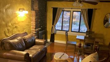 TV, fireplace, books, music library