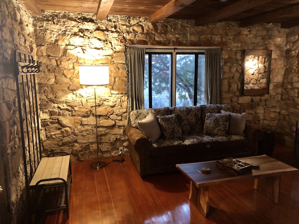 TV, fireplace, books, music library