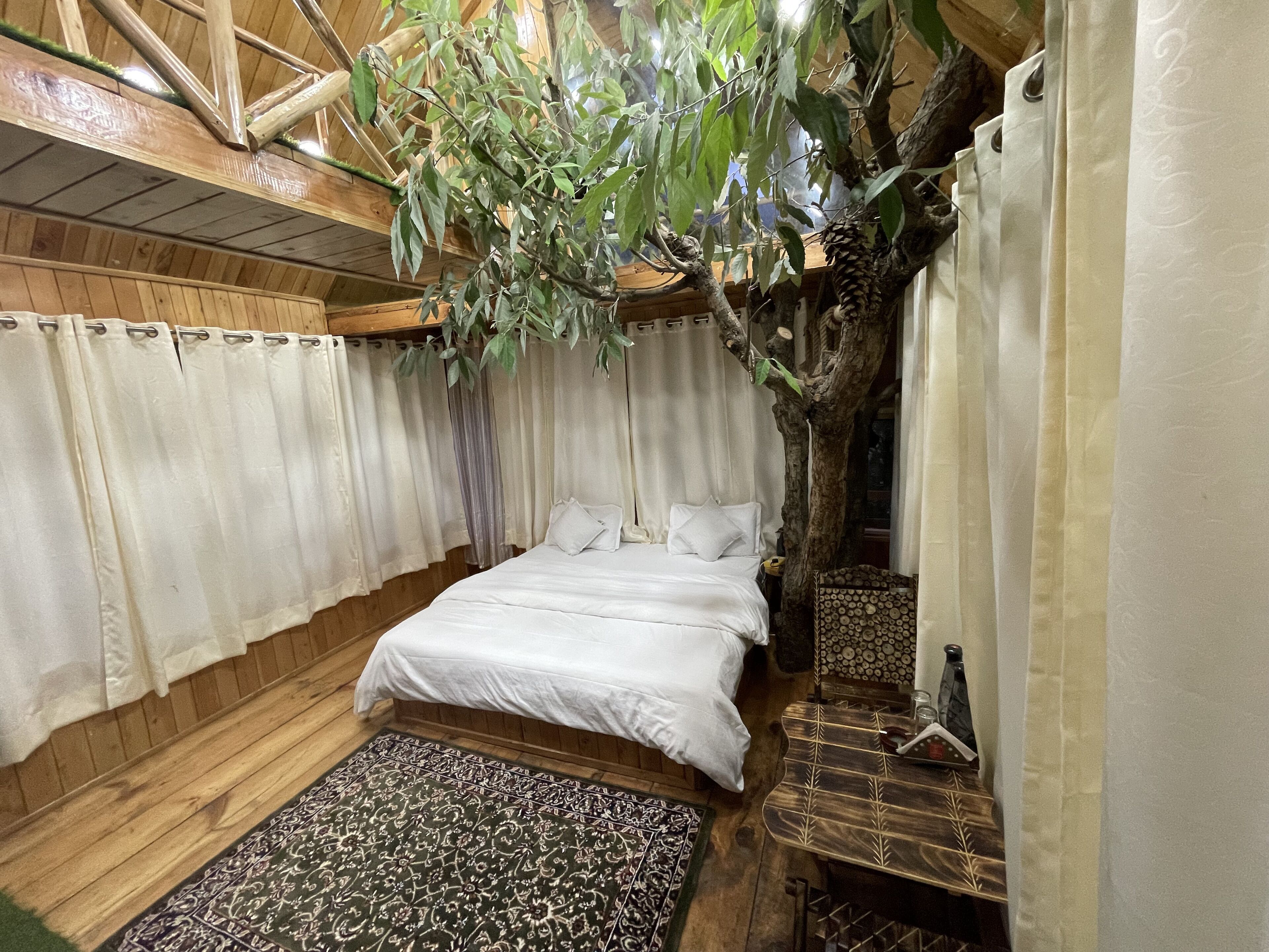 A cozy bedroom with a bed, a hanging plant, and a wooden floor.