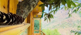Himalayan Abode Tree House, Sainj