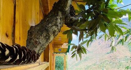 Himalayan Abode Tree House, Sainj