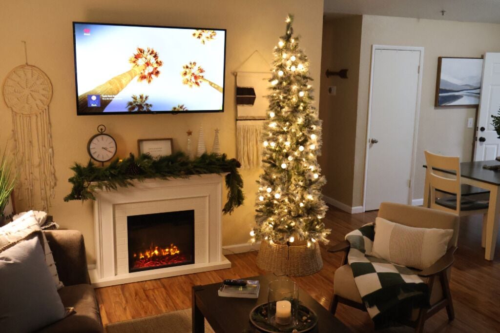 Smart TV, fireplace, books, music library