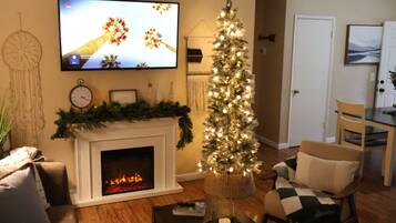 Smart TV, fireplace, books, music library