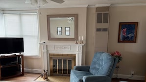 Una sala de estar con chimenea, televisor y un perro.