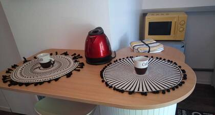 Cosy Casa sur l' Avenue Peboué à Pau Parking Gratuit 24/24