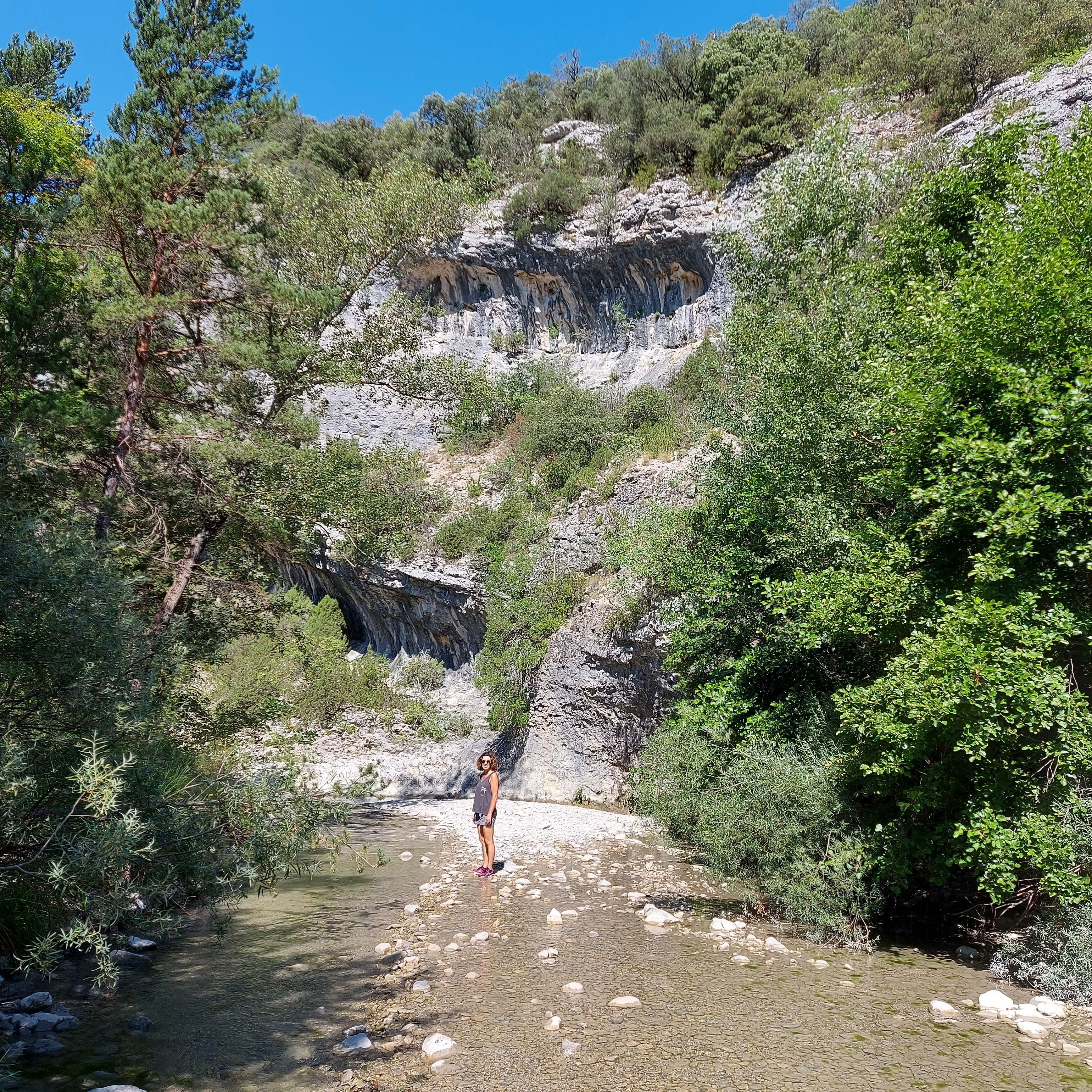 A natural landscape with a rocky stream, dense greenery, and a clear sky.